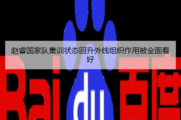 赵睿国家队集训状态回升外线组织作用被全面看好